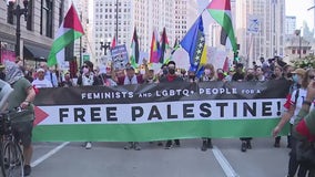 Protesters march in downtown Chicago ahead of DNC