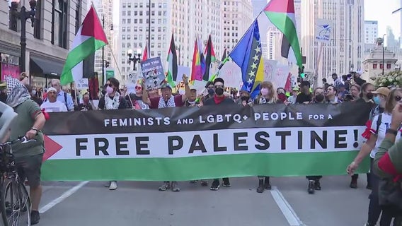 Protesters rally in downtown Chicago ahead of Democratic National Convention