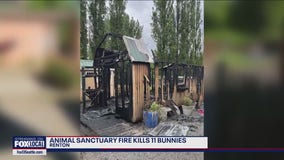 Animal sanctuary in Renton grieving after fire kills 11 bunnies overnight