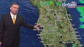 Tampa Weather | Hazy, hot & humid