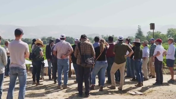 Napa Valley Grapegrowers