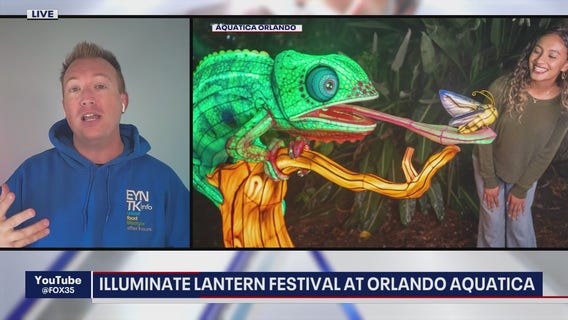 Holiday light shows across Aquatica, Leu Gardens