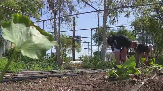 Students with autism get experience working on a farm