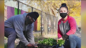 Englewood organic farm develops plan for $25 million expansion project