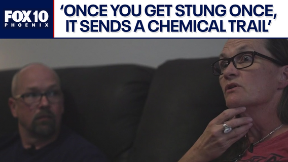 Bee attack in Peoria nearly costs man his life