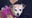 Muttville offering free chihuahua adoptions through Sunday