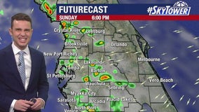 Tampa weather: Showers ending overnight