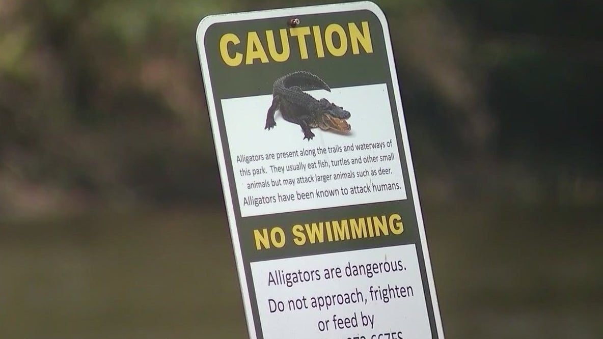 Neighbors share heartbreak after deadly alligator attack