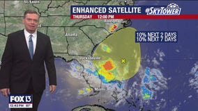 Tampa Weather | Muggy with showers likely