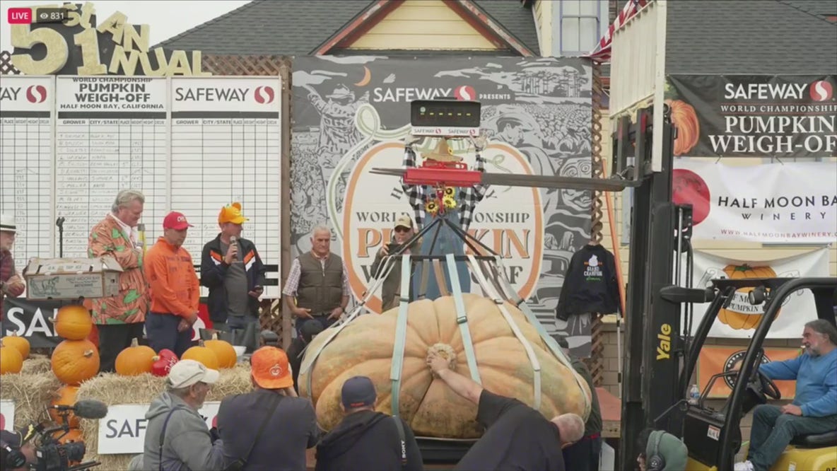 Half Moon Bay pumpkin weigh-off