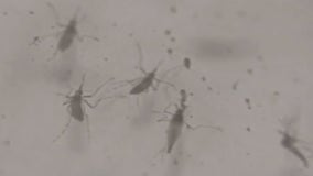 West Nile Virus in Wisconsin