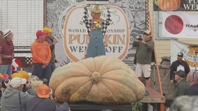 Anoka's Travis Gienger wins World Championship Pumpkin Weigh-Off