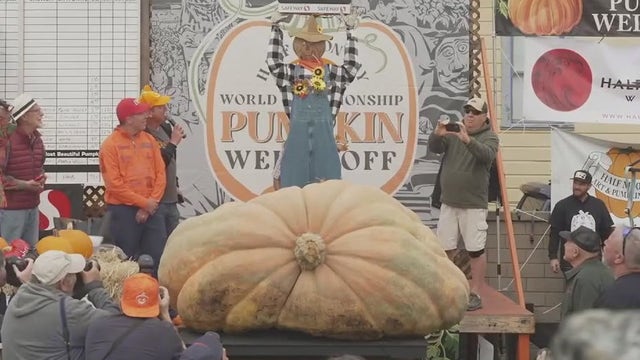Minnesota pumpkin grower wins World Championship Pumpkin Weigh-Off