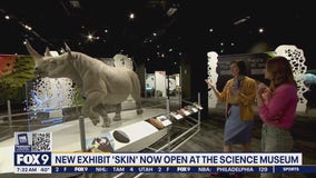 New exhibit explores amazing adaptations of our skin