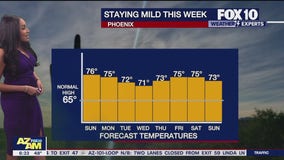 Morning Weather Forecast - 12/29/24