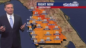 Tampa weather | Breezy and humid