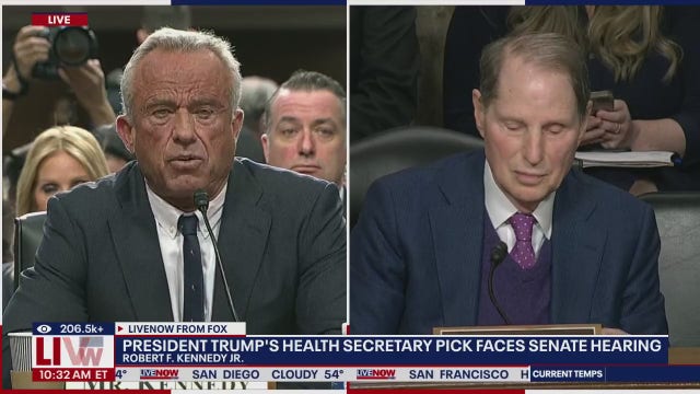 Who is RFK Jr.'s wife? Cheryl Hines seen at Senate confirmation hearing