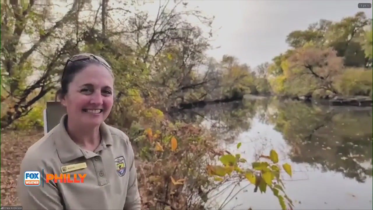 Drew Checks Out The John Heinz National Wildlife Refuge | FOX Weather ...