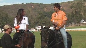 Polo Classic by Veuve Clicquot