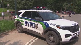 NYPD blames migrant crew for Central Park crime surge