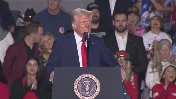 Trump's immigration crackdown in U.S.