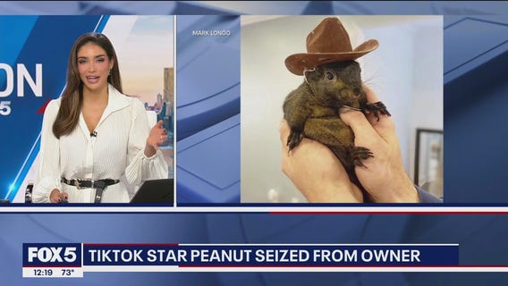 Peanut the squirrel seized, euthanized in NY state raid; Elon Musk reacts