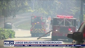 Large brush fire in Roxborough