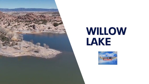 Willow Lake | Drone Zone