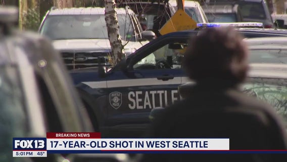 17-year-old shot at West Seattle's Roxhill Park, SPD investigating