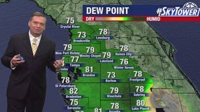 Tampa weather | incoming dry air could lower rain