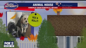 Welcome Roc, Rolly, Diego, Phoenix