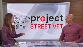 'Project Street Vet'