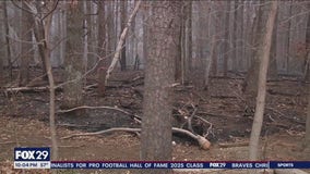 Big Rusty wildfire aftermath: Rain on the way after weeks-long drought