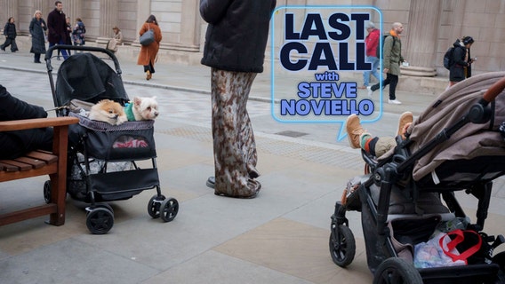 Do people love their pets more than their spouses?