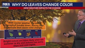 Why do the leaves change color in fall?