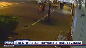 Thief caught on camera stealing, vandalizing pride flags in Burien