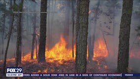 Firefighters endure grueling heat, humidity battling Burlington County wildfire