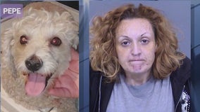 County declines prosecuting animal cruelty case