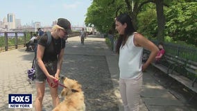 New Yorkers brace the heat