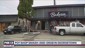 Georgetown pot shop smashed by thieves