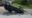 Florida child steals family car, flips it in street while driving: Police