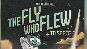 New children's book tells story of a fly chasing its dreams