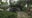 Storm topples tree onto home in Palm Bay