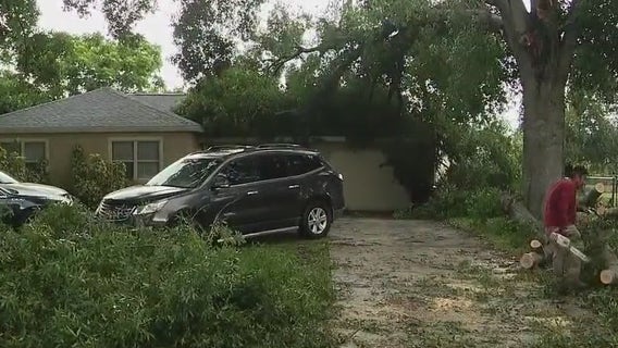 Storm topples tree onto home in Palm Bay