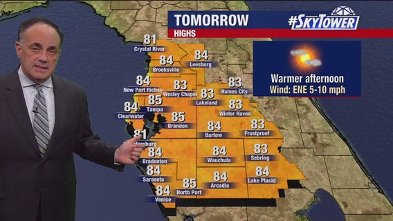 Tampa Weather | Moonlit, cool night