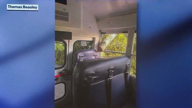 Tree downed by Hurricane Helene crashes through school bus window, narrowly missing student