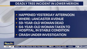 Woman dies after large tree falls on vehicle driving in Lower Merion