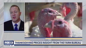 Thanksgiving prices insight from the American Farm Bureau Federation