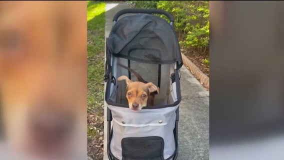 Good Day’s Jen Epstein’s new ride for Benson