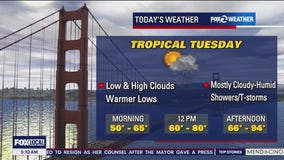 Mostly cloudy, humid, possible thunderstorms